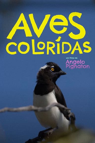 Colored Birds poster