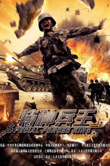 Special Forces King poster