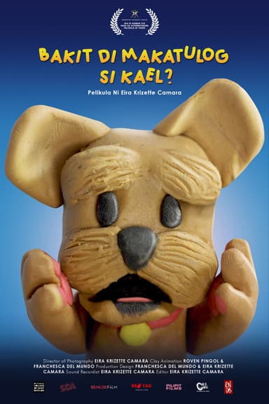Bakit Di Makatulog si Kael? poster
