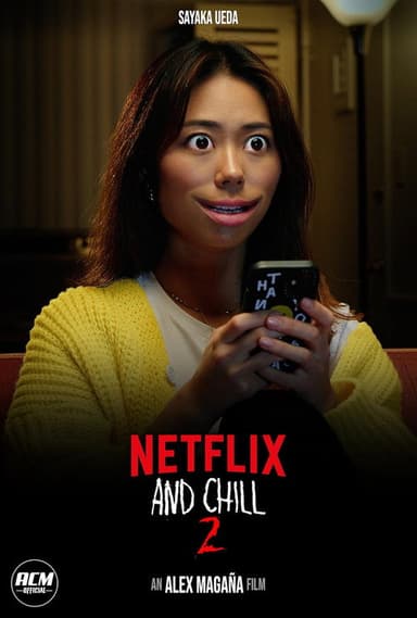 Netflix and Chill 2 poster