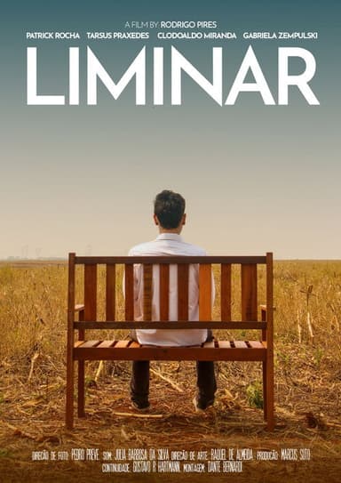 Liminar poster