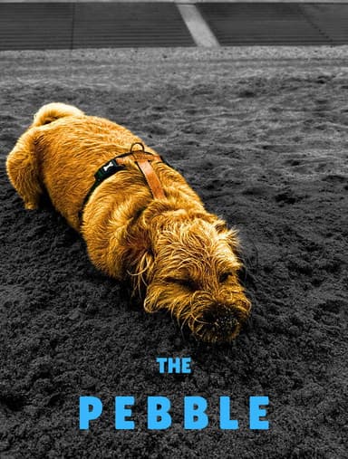 The Pebble poster