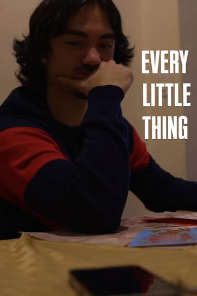 Every Little Thing poster