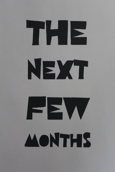 The Next Few Months poster