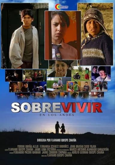 Sobrevivir en los Andes poster