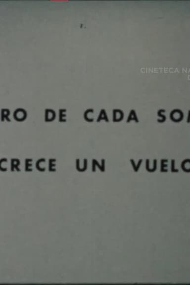 Dentro de Cada Sombra Crece un Vuelo poster