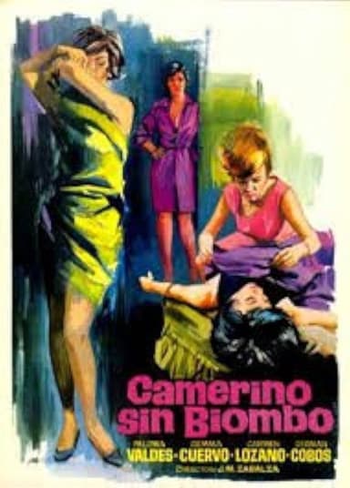 Camerino sin biombo poster