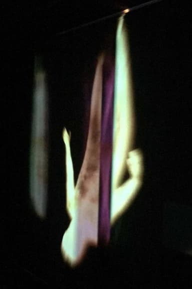 Light-Bodies poster