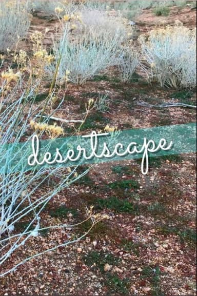Desertscape poster