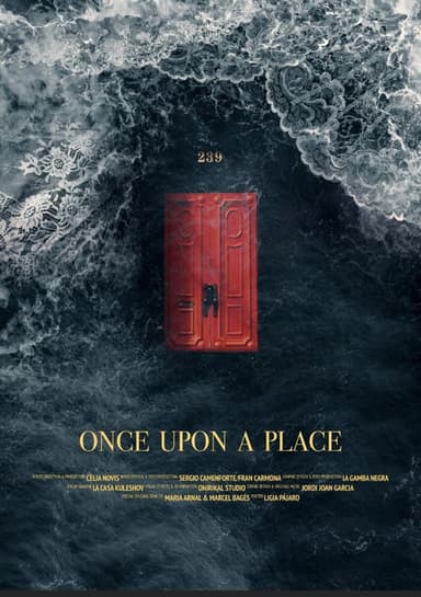 Once Upon A Place poster