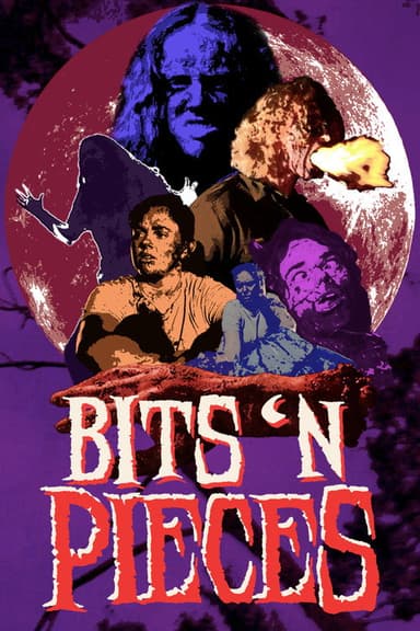 Bits 'N Pieces poster