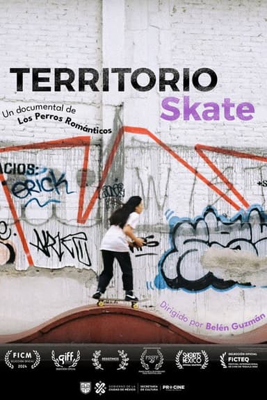 Skate Territory poster