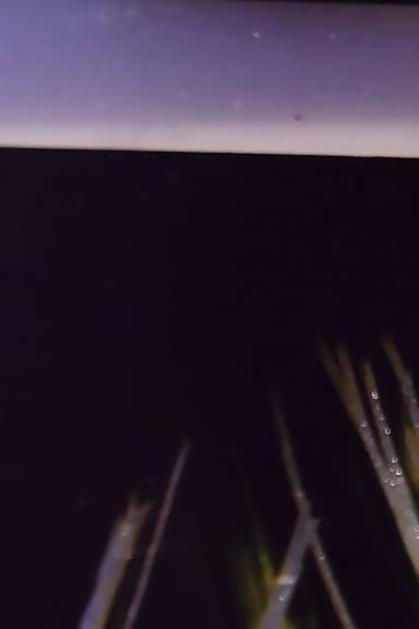 Katsakh:   1107 - Quantum Superposition and States poster