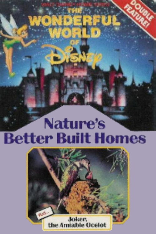 Nature's Better Built Homes poster