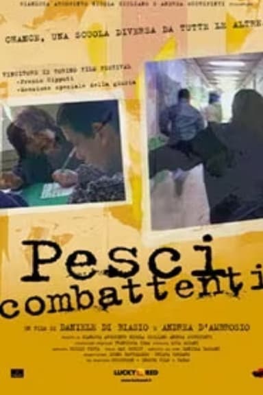 Pesci combattenti poster