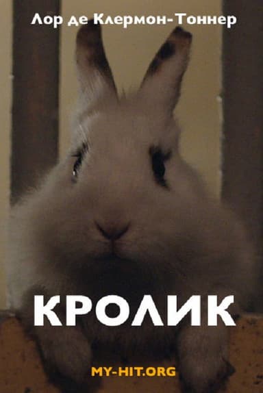 Rabbit poster