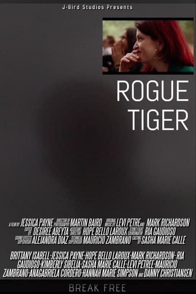 Rogue Tiger poster