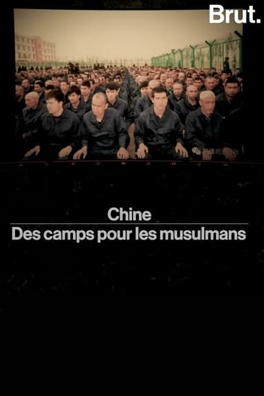 chine——des camps pour les musulmans poster