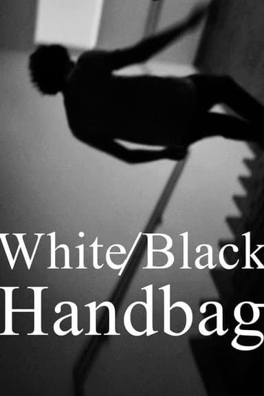 White/Black Handbag poster
