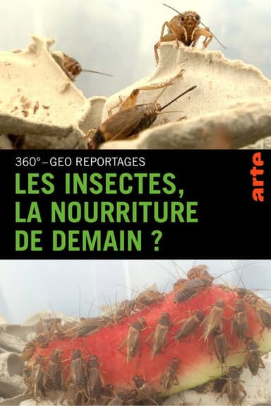 Insekten, unser speiseplan für morgen? poster