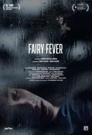 Fairy Fever poster
