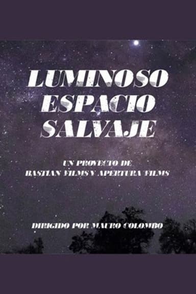 Wild Gleaming Space poster