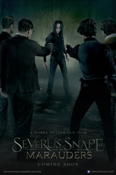 Severus Snape and the Marauders poster