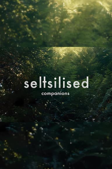 Companions poster
