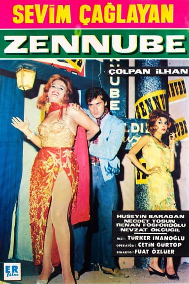 Zennube poster