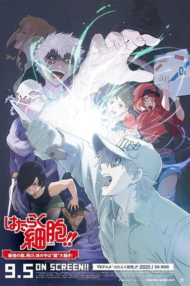 Cells at Work!! The Return of the Strongest Enemy: A Huge Uproar in the Body’s Bowels! poster