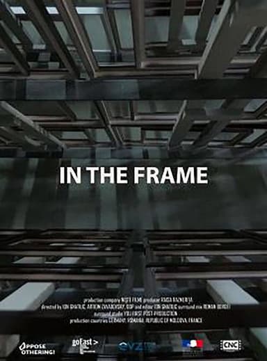 In The Frame poster