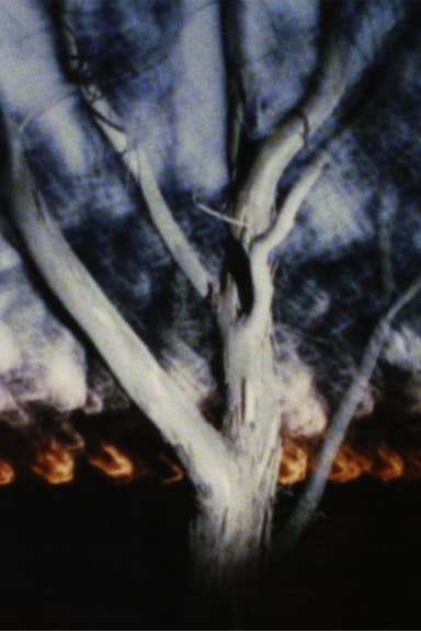 The Land at Night poster