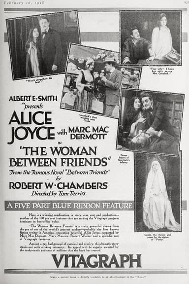 The Woman Between Friends poster