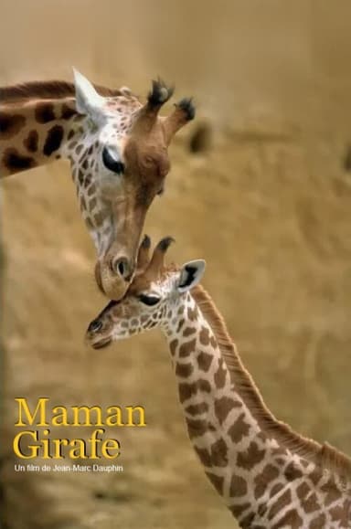 Maman girafe poster