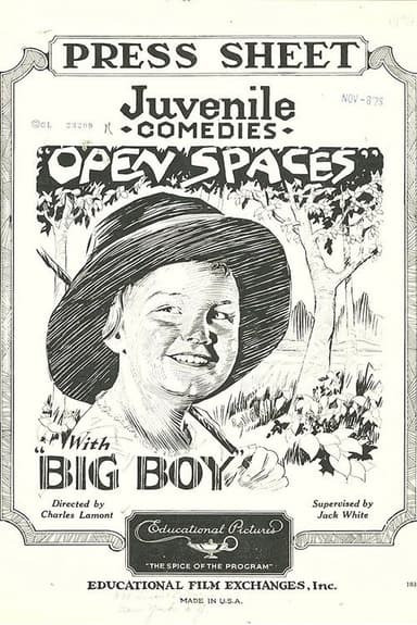 Open Spaces poster