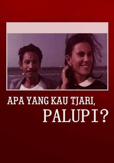 What Are You Looking For, Palupi? poster