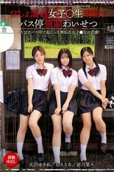 A Dripping Wet Schoolgirl Is Taking Shelter From The Rain At A Bus Stop And Subjected To Filthy Acts poster