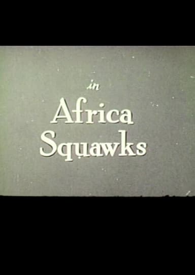 Africa Squawks poster