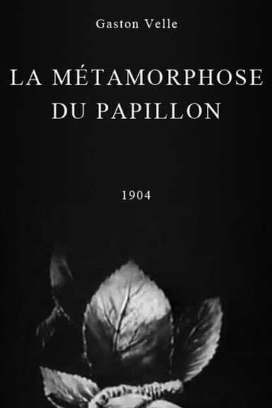 Metamorphosis of a Butterfly poster
