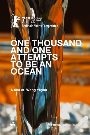 One Thousand and One Attempts to Be an Ocean poster
