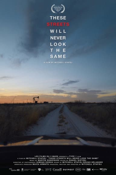 These Streets Will Never Look the Same poster