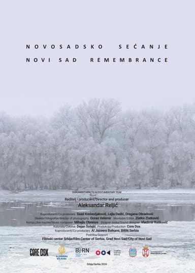 Novi Sad Remembrance poster