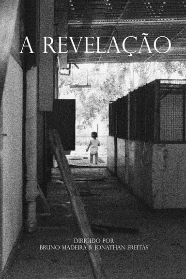 The Developing poster