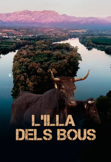 L'illa dels bous poster