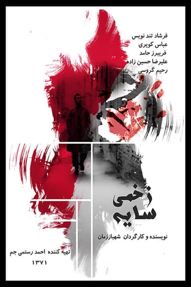 The Wounded Shadow poster
