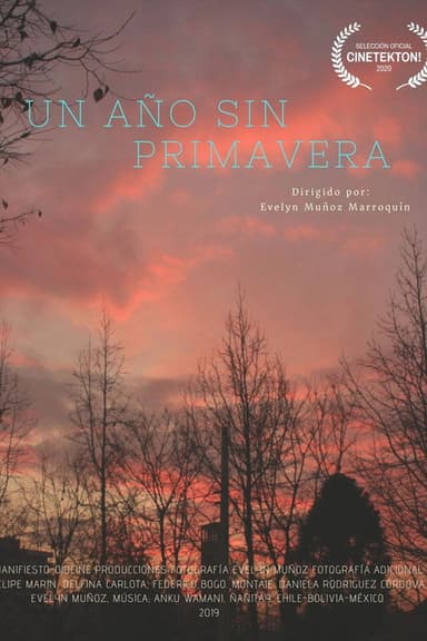 Un Año sin Primavera poster