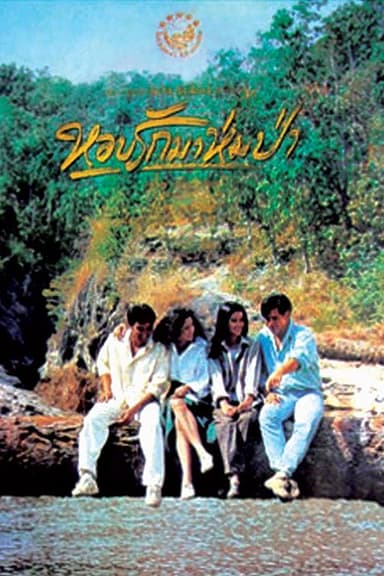 Forest In Love poster