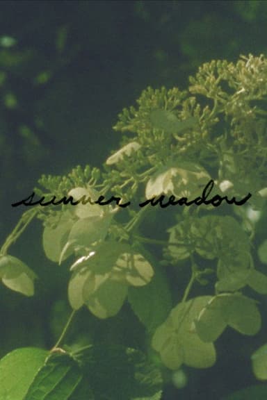 Summer Meadow poster