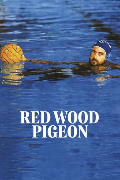 Palombella rossa poster