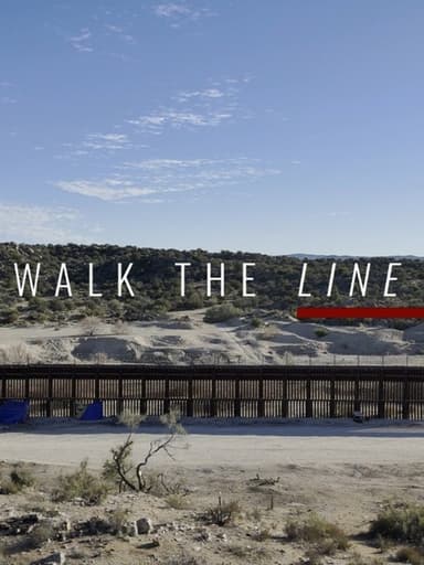 Walk The Line poster